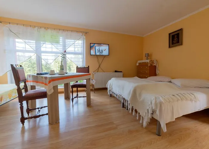 Szopenowka Homestay
